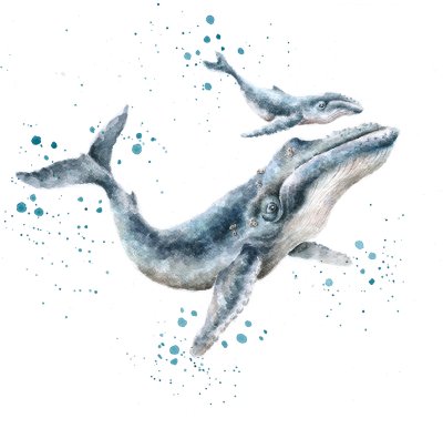 'Marine Blue' whale artwork print