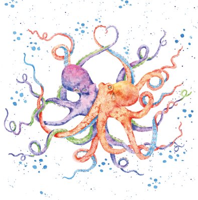 'Colours of the Ocean' octopus artwork print